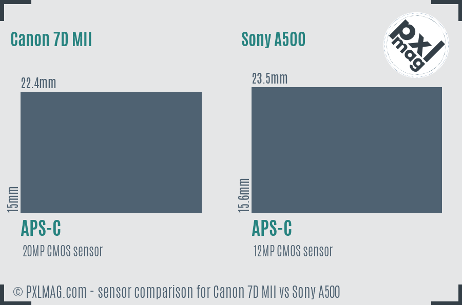 Canon 7D MII vs Sony A500 sensor size comparison