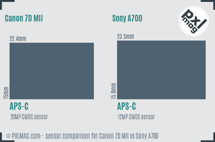Canon 7D MII vs Sony A700 sensor size comparison