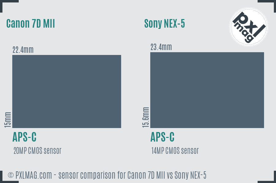 Canon 7D MII vs Sony NEX-5 sensor size comparison