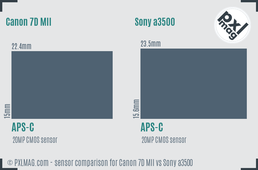 Canon 7D MII vs Sony a3500 sensor size comparison