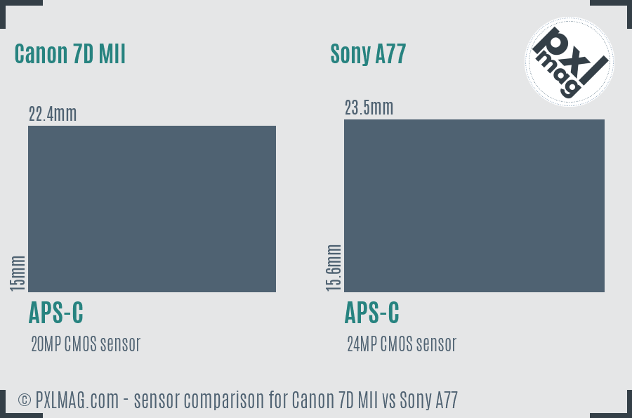 Canon 7D MII vs Sony A77 sensor size comparison