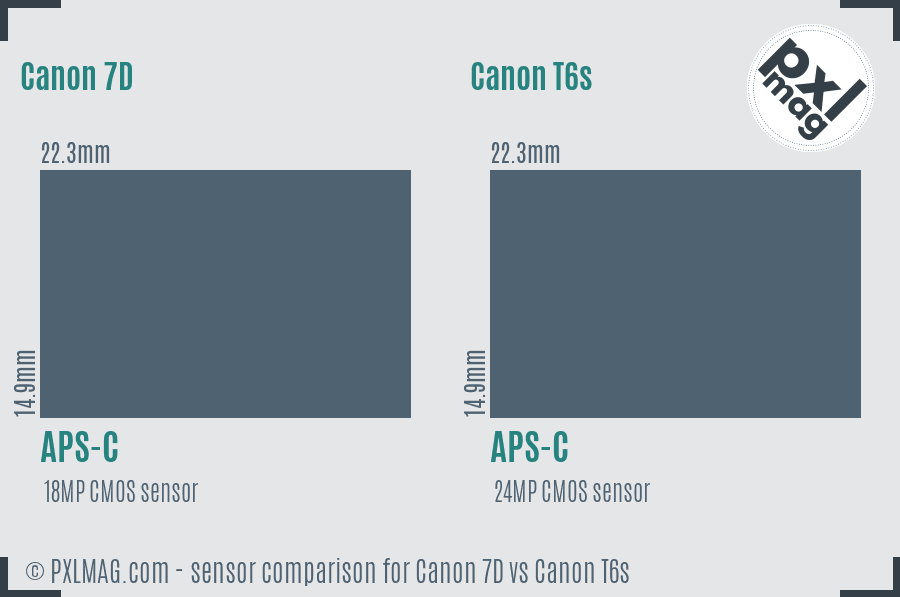 Canon 7D vs Canon T6s sensor size comparison