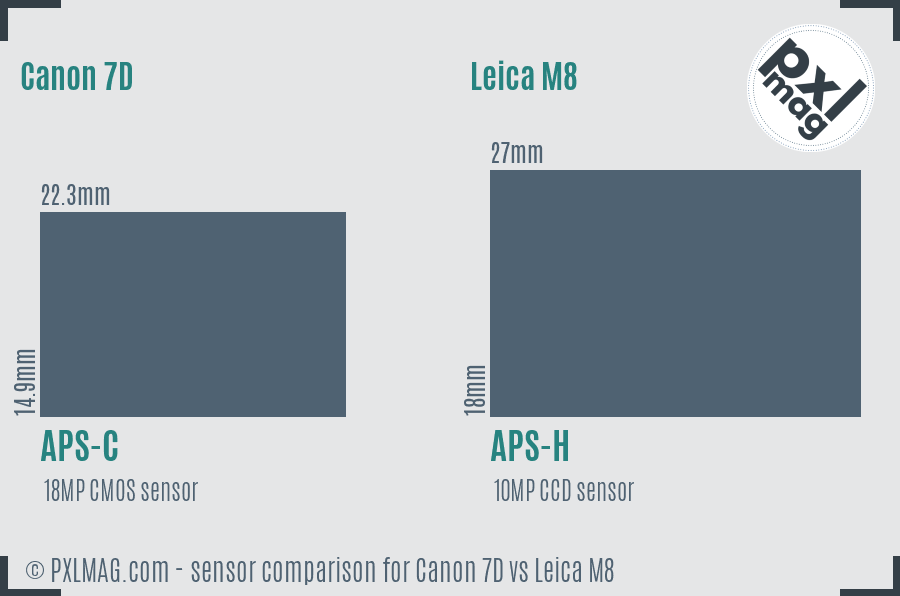 Canon 7D vs Leica M8 sensor size comparison Canon 7D vs Leica M8 sensor size comparison