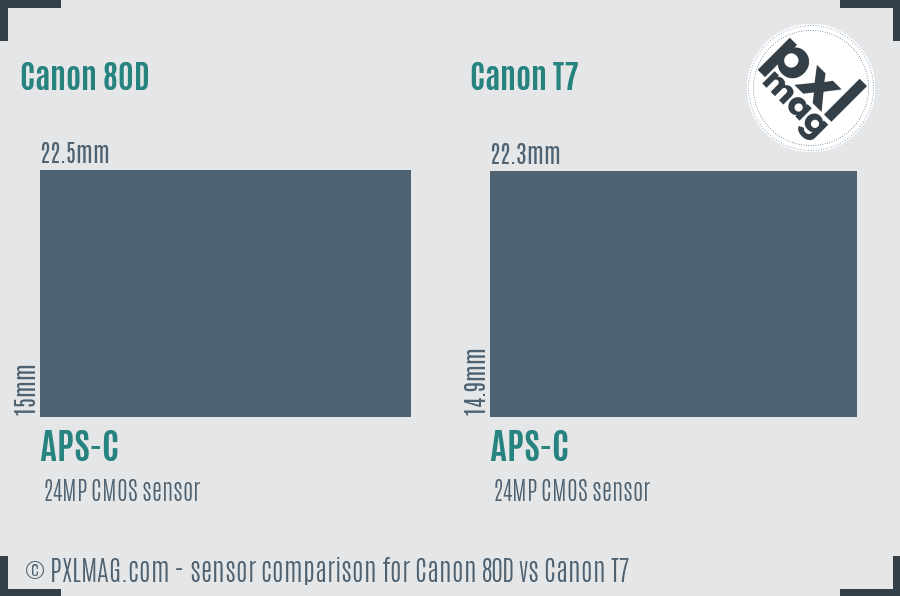 Canon 80D vs Canon T7 sensor size comparison