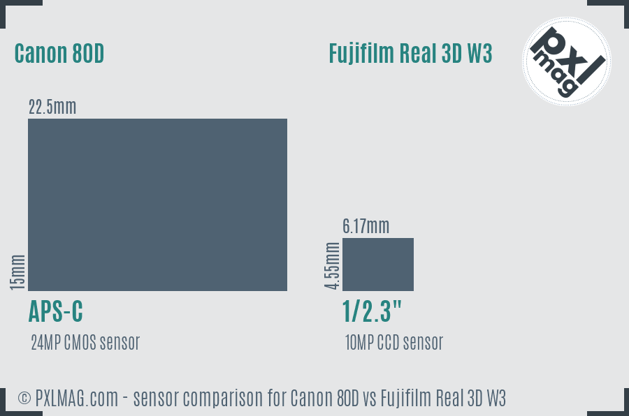 Canon 80D vs Fujifilm Real 3D W3 sensor size comparison Canon 80D vs Fujifilm Real 3D W3 sensor size comparison