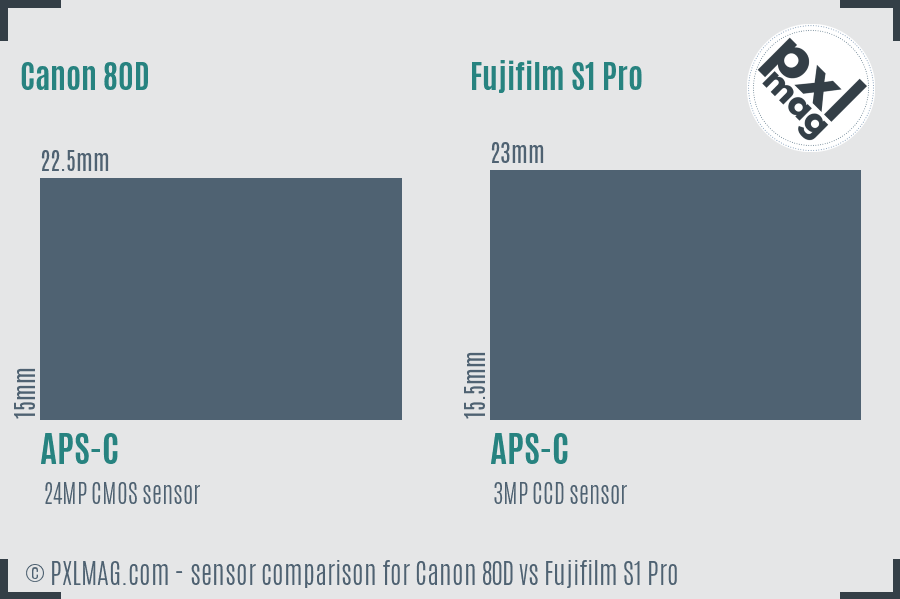 Canon 80D vs Fujifilm S1 Pro sensor size comparison