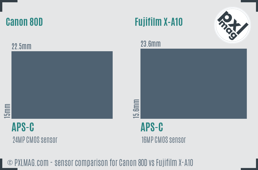 Canon 80D vs Fujifilm X-A10 sensor size comparison