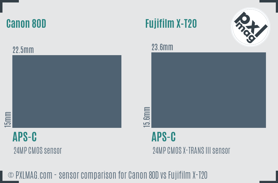 Canon 80D vs Fujifilm X-T20 sensor size comparison Canon 80D vs Fujifilm X-T20 sensor size comparison