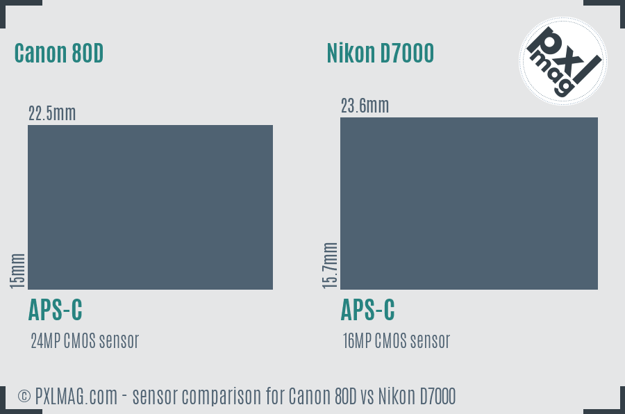 Canon 80D vs Nikon D7000 sensor size comparison