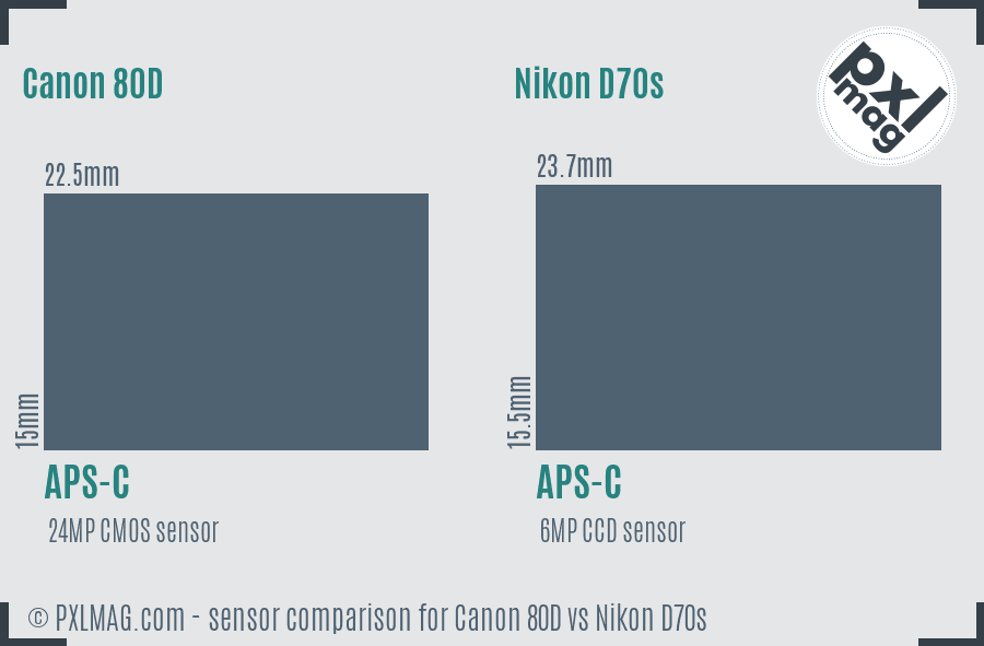 Canon 80D vs Nikon D70s sensor size comparison