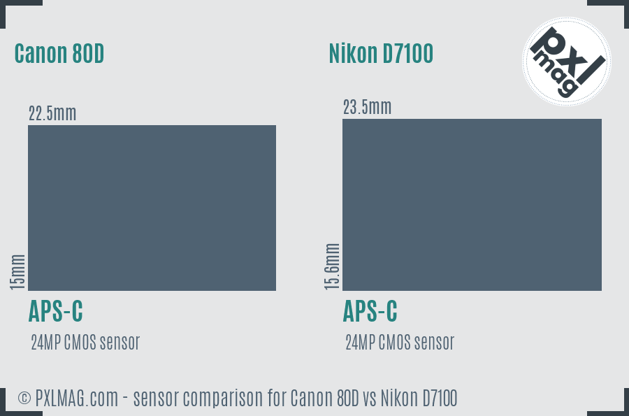 Canon 80D vs Nikon D7100 sensor size comparison
