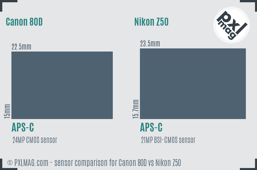 Canon 80D vs Nikon Z50 sensor size comparison Canon 80D vs Nikon Z50 sensor size comparison