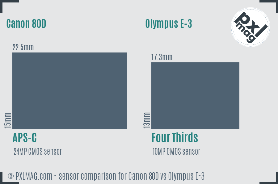 Canon 80D vs Olympus E-3 sensor size comparison