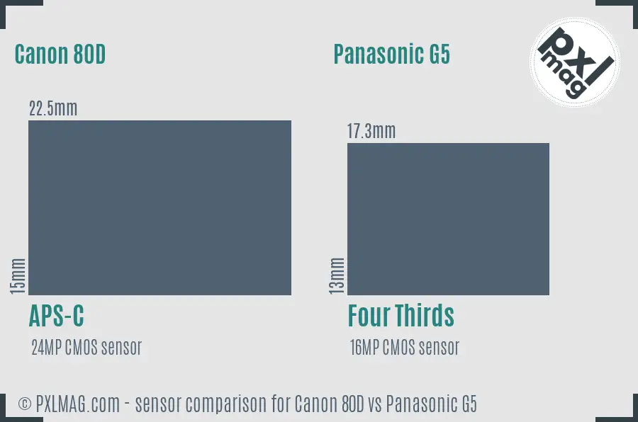 Canon 80D vs Panasonic G5 sensor size comparison Canon 80D vs Panasonic G5 sensor size comparison