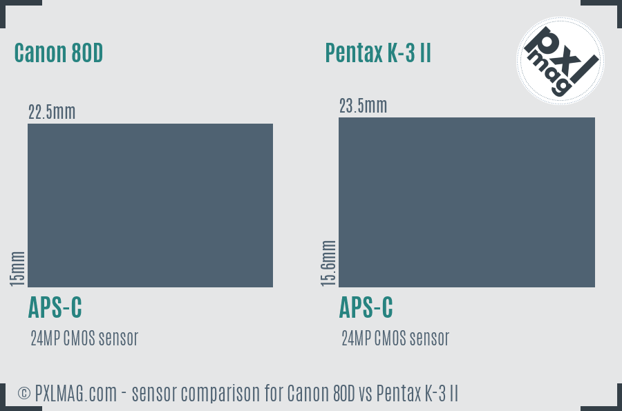Canon 80D vs Pentax K-3 II sensor size comparison