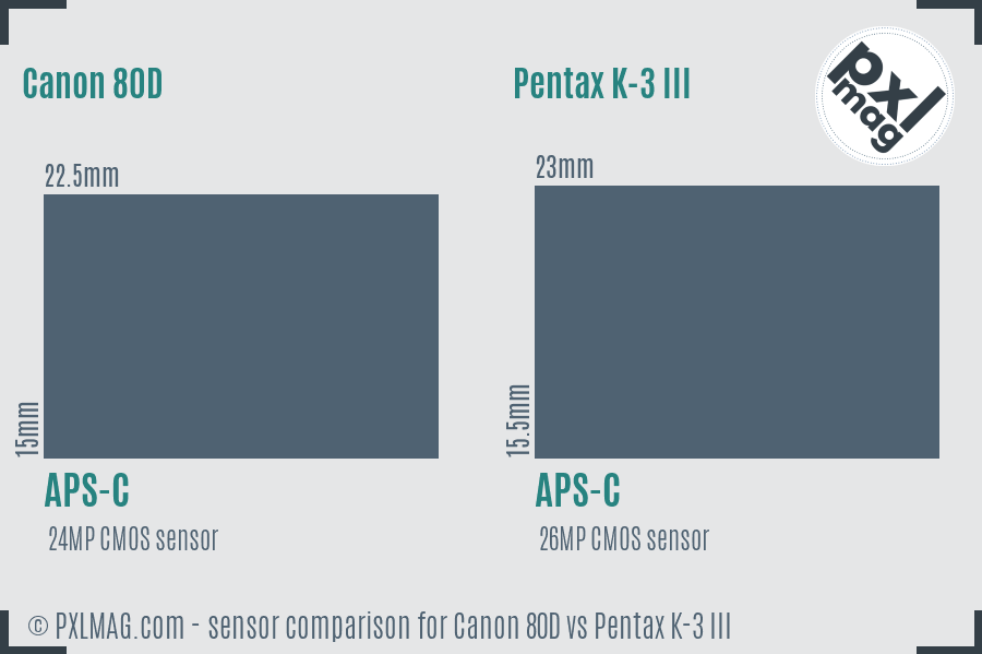 Canon 80D vs Pentax K-3 III sensor size comparison