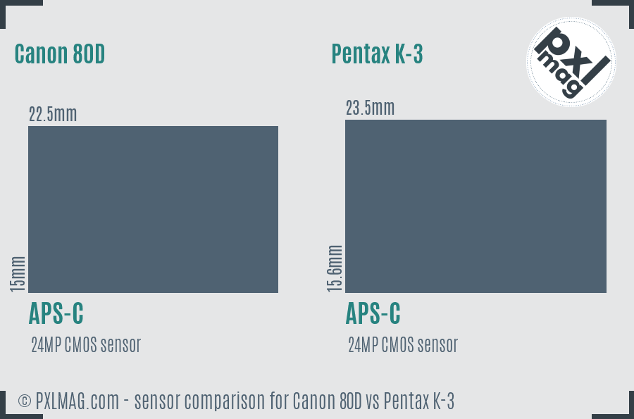 Canon 80D vs Pentax K-3 sensor size comparison