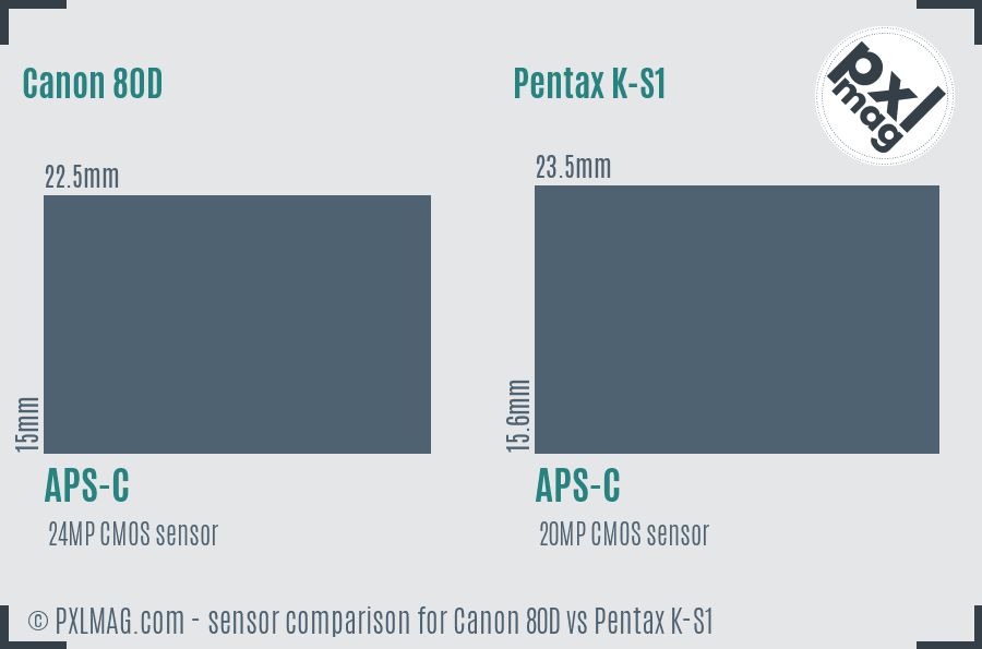 Canon 80D vs Pentax K-S1 sensor size comparison