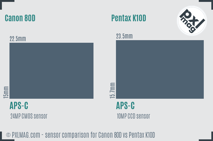 Canon 80D vs Pentax K10D sensor size comparison