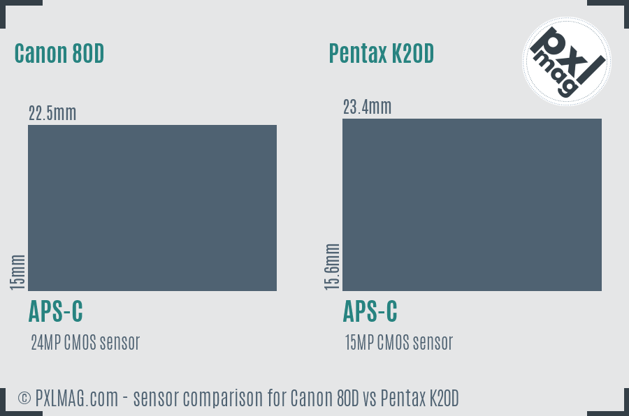 Canon 80D vs Pentax K20D sensor size comparison