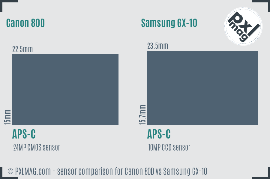 Canon 80D vs Samsung GX-10 sensor size comparison