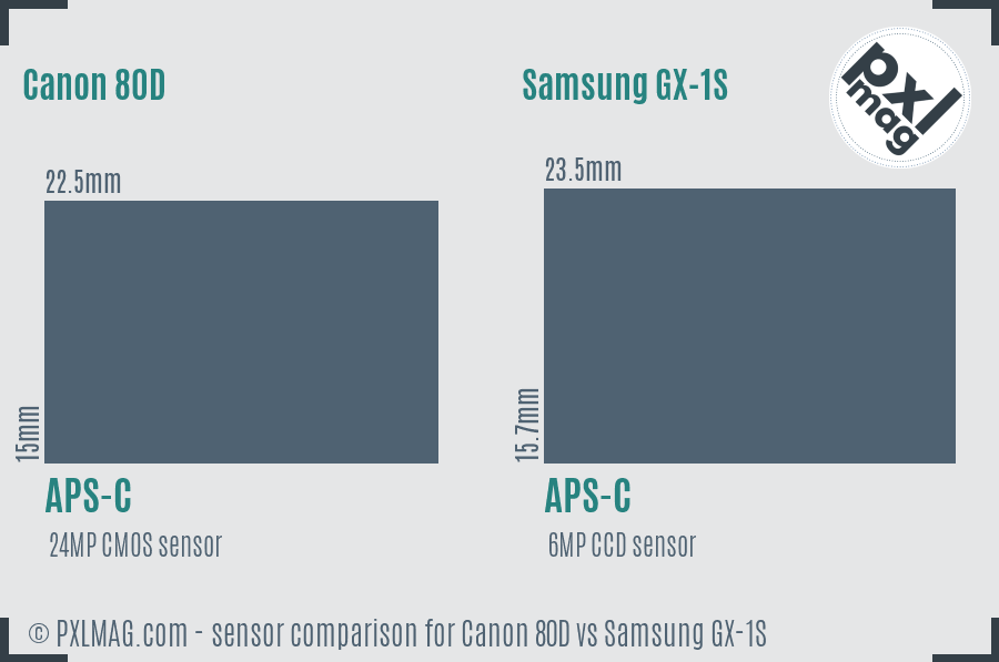 Canon 80D vs Samsung GX-1S sensor size comparison