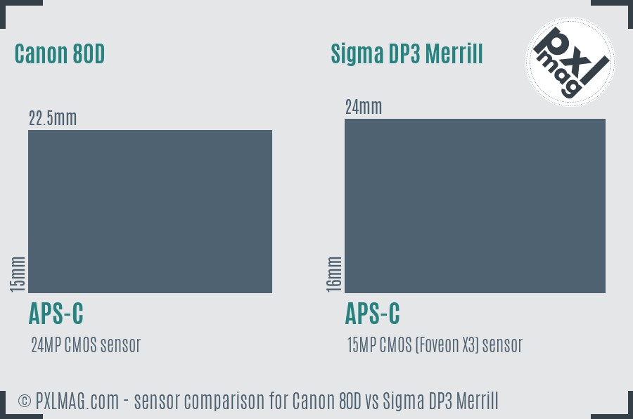 Canon 80D vs Sigma DP3 Merrill sensor size comparison