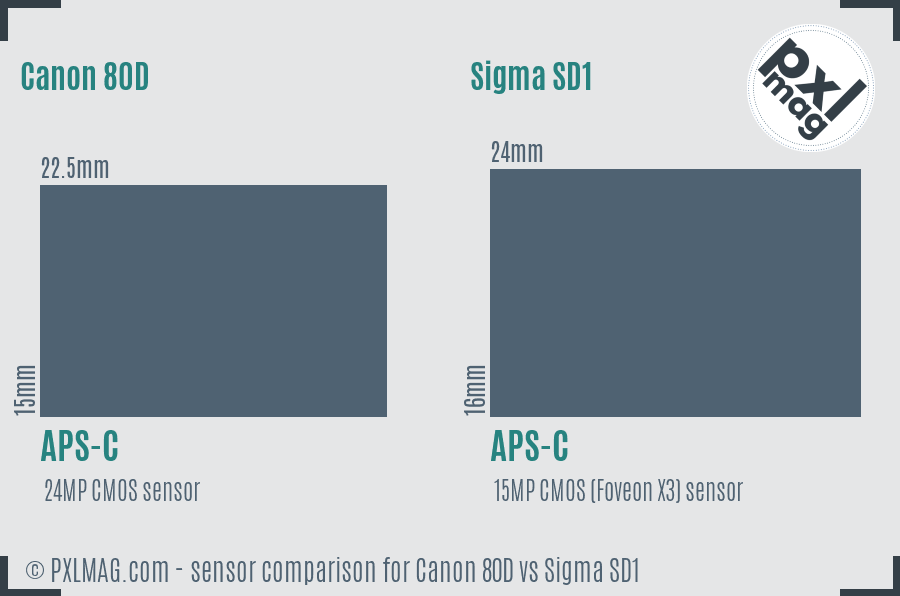 Canon 80D vs Sigma SD1 sensor size comparison