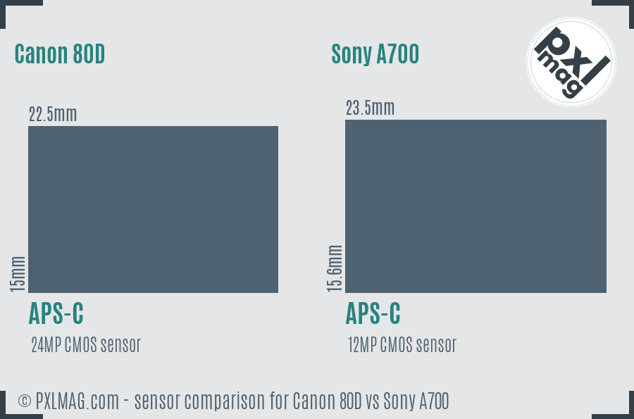 Canon 80D vs Sony A700 sensor size comparison