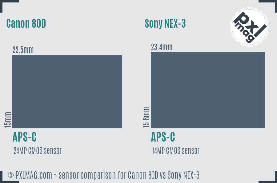 Canon 80D vs Sony NEX-3 sensor size comparison