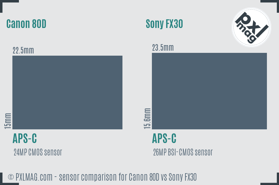 Canon 80D vs Sony FX30 sensor size comparison