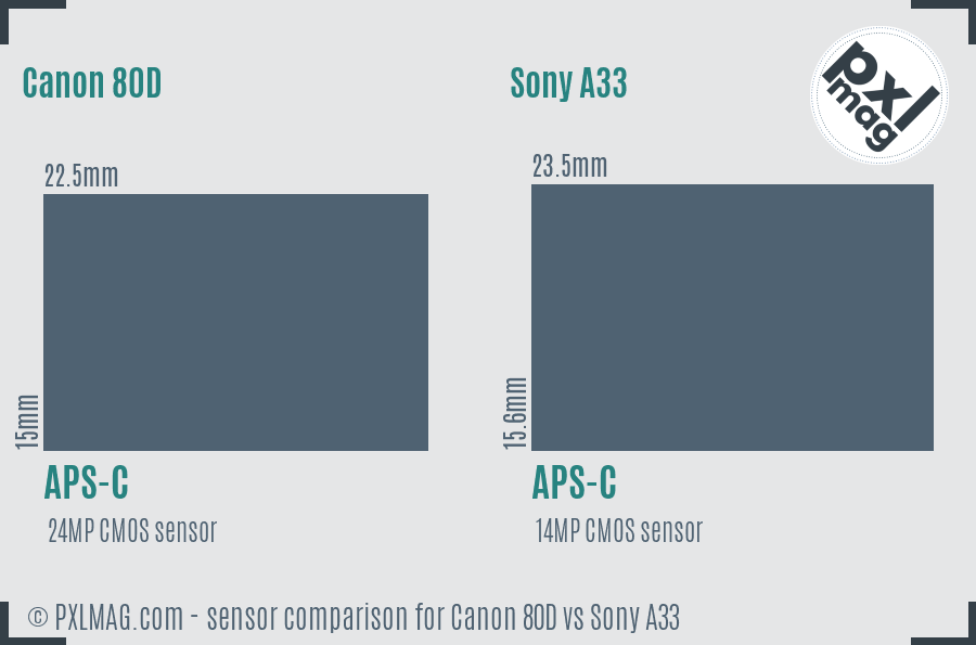 Canon 80D vs Sony A33 sensor size comparison