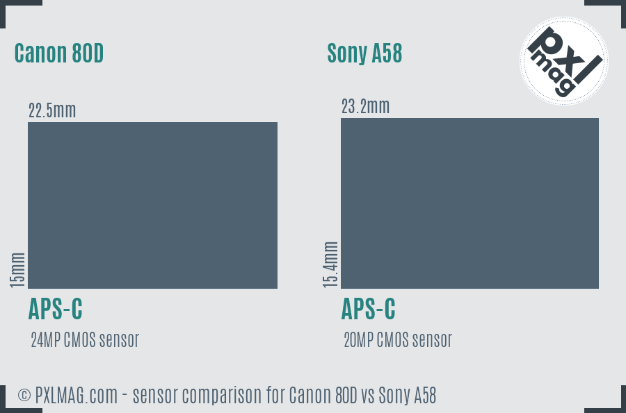 Canon 80D vs Sony A58 sensor size comparison