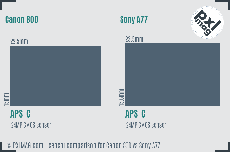 Canon 80D vs Sony A77 sensor size comparison