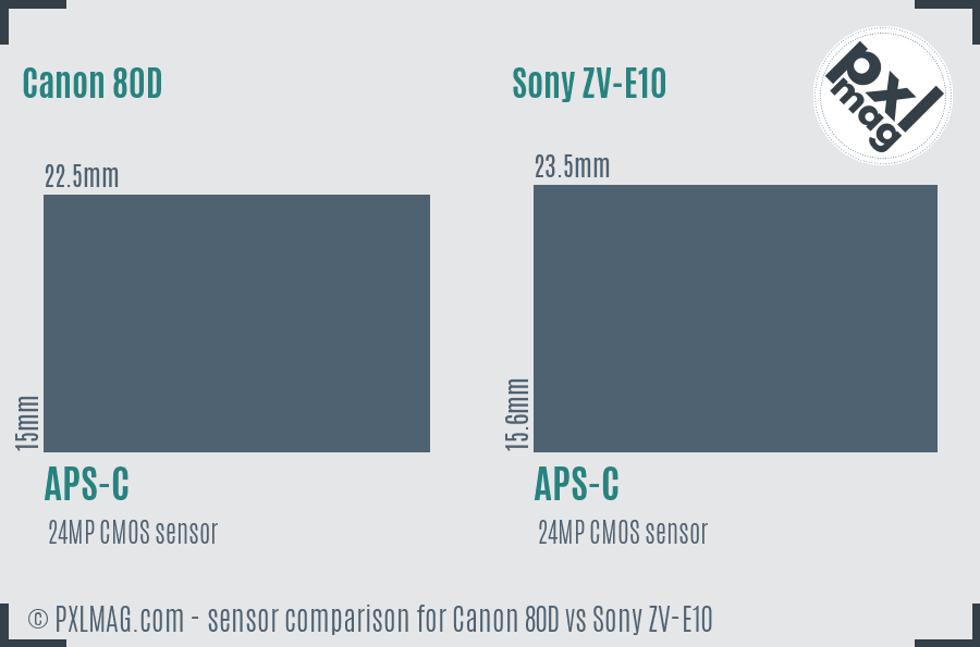 Canon 80D vs Sony ZV-E10 sensor size comparison Canon 80D vs Sony ZV-E10 sensor size comparison