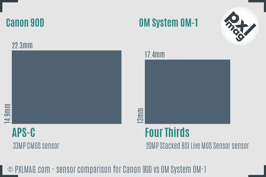 Canon 90D vs OM System OM-1 sensor size comparison