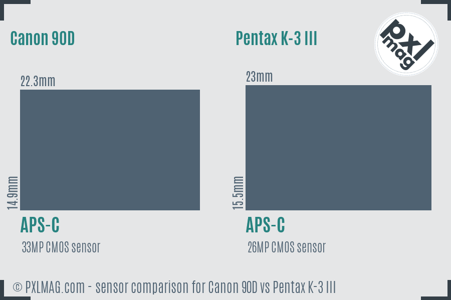 Canon 90D vs Pentax K-3 III sensor size comparison