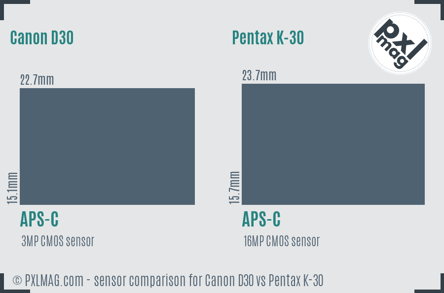 Canon D30 vs Pentax K-30 sensor size comparison
