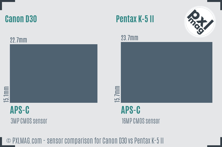 Canon D30 vs Pentax K-5 II sensor size comparison