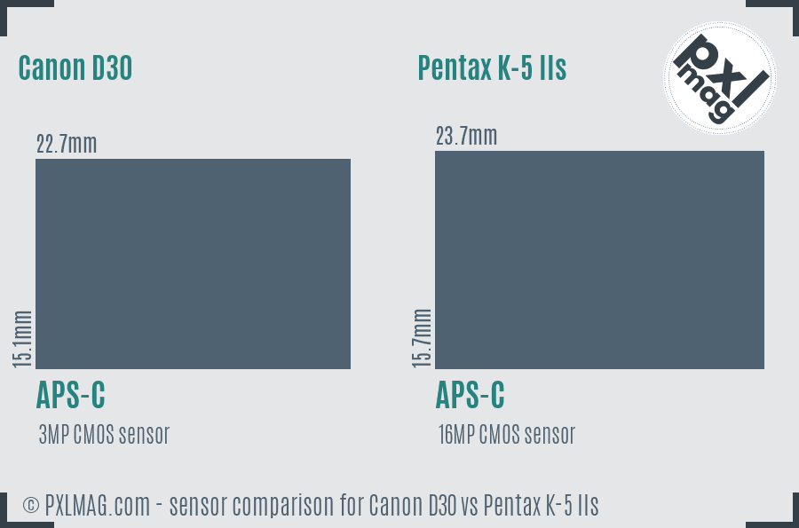 Canon D30 vs Pentax K-5 IIs sensor size comparison