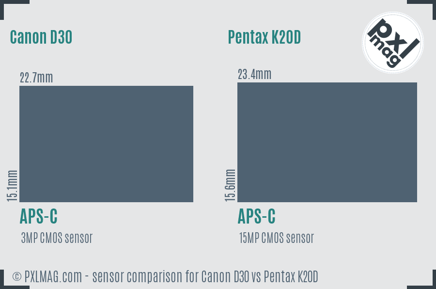Canon D30 vs Pentax K20D sensor size comparison