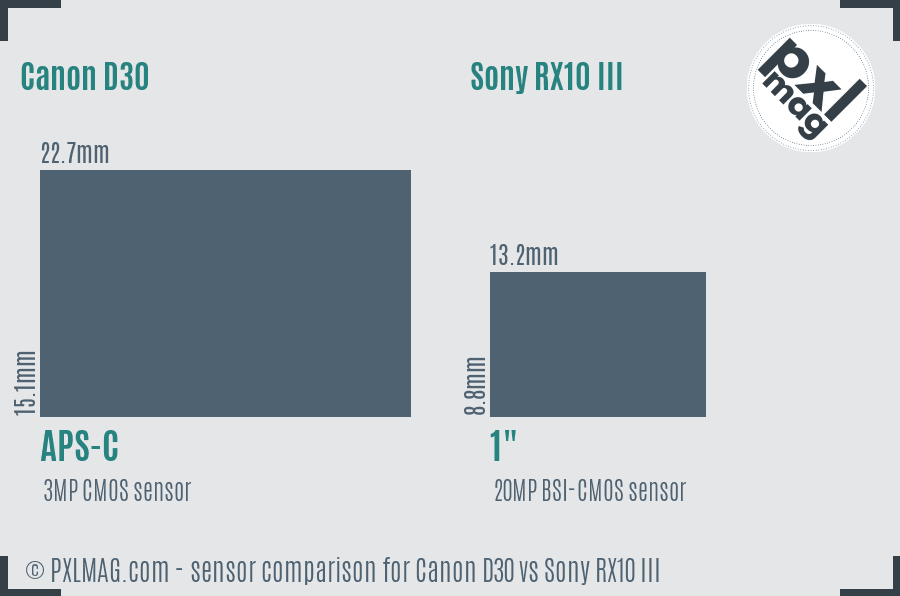 Canon D30 vs Sony RX10 III sensor size comparison