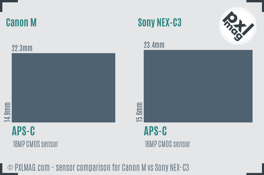 Canon M vs Sony NEX-C3 sensor size comparison