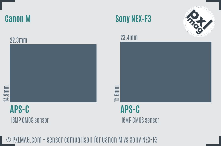 Canon M vs Sony NEX-F3 sensor size comparison
