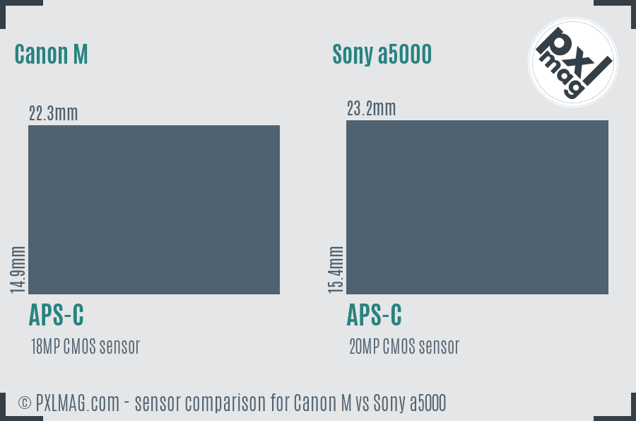 Canon M vs Sony a5000 sensor size comparison