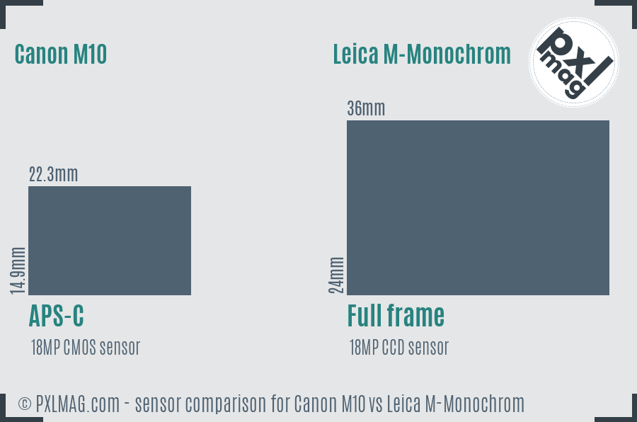 Canon M10 vs Leica M-Monochrom sensor size comparison