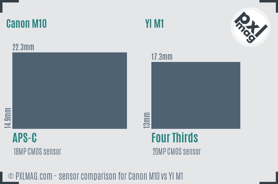 Canon M10 vs YI M1 sensor size comparison