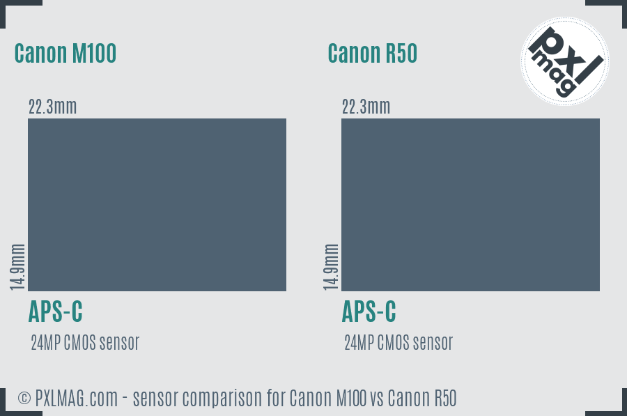 Canon M100 vs Canon R50 sensor size comparison