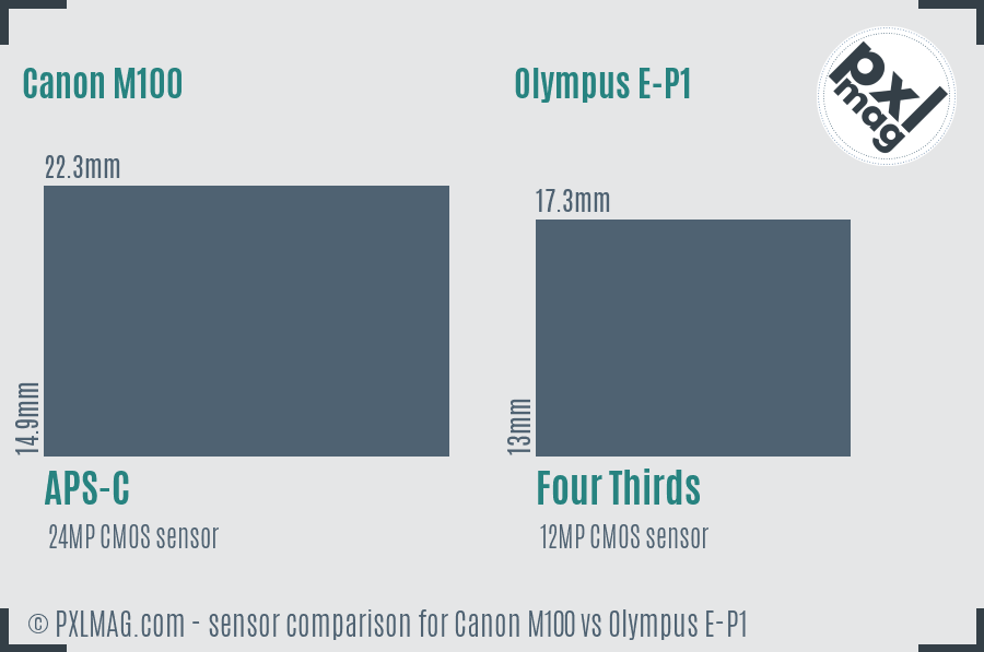 Canon M100 vs Olympus E-P1 sensor size comparison