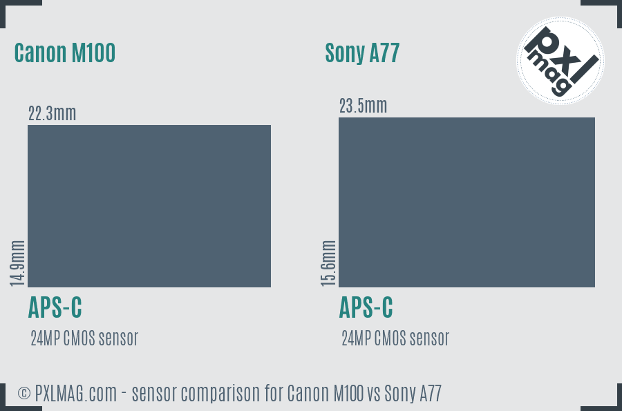 Canon M100 vs Sony A77 sensor size comparison